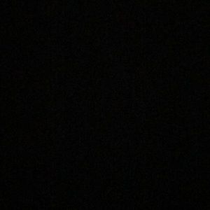 Meet your Posher, Alica